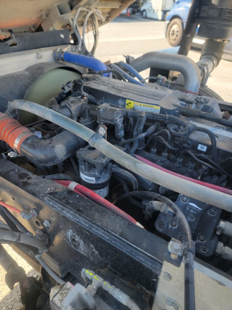 2020 Tico Yard Horse