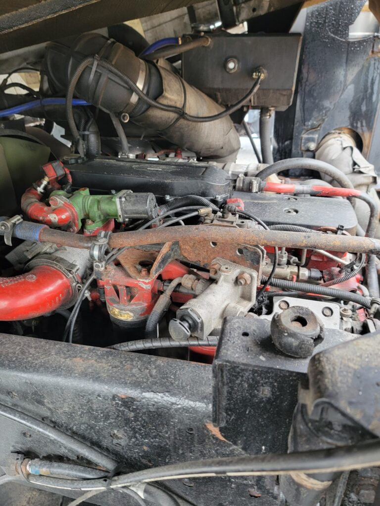 2016 Ottawa Yard Horse