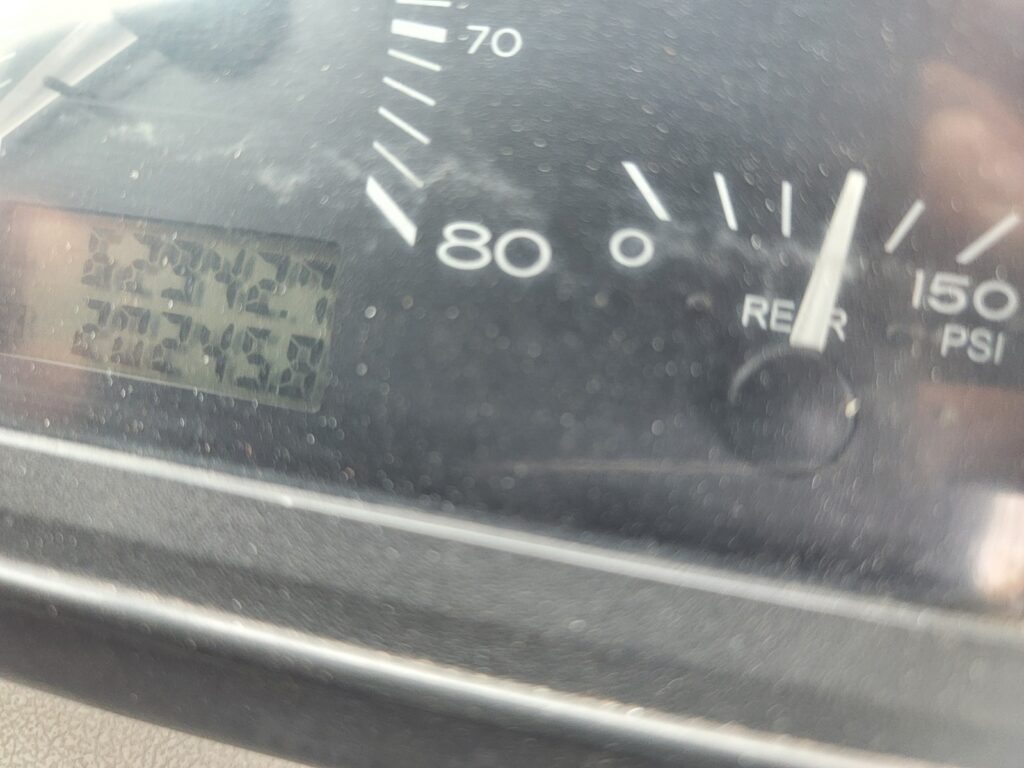 2016 Ottawa Yard Horse